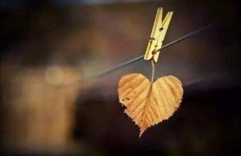 斷聯(lián)多久女生會(huì)想你?