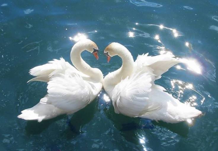 女人出軌自述,女性出軌后如何拯救丈夫的心