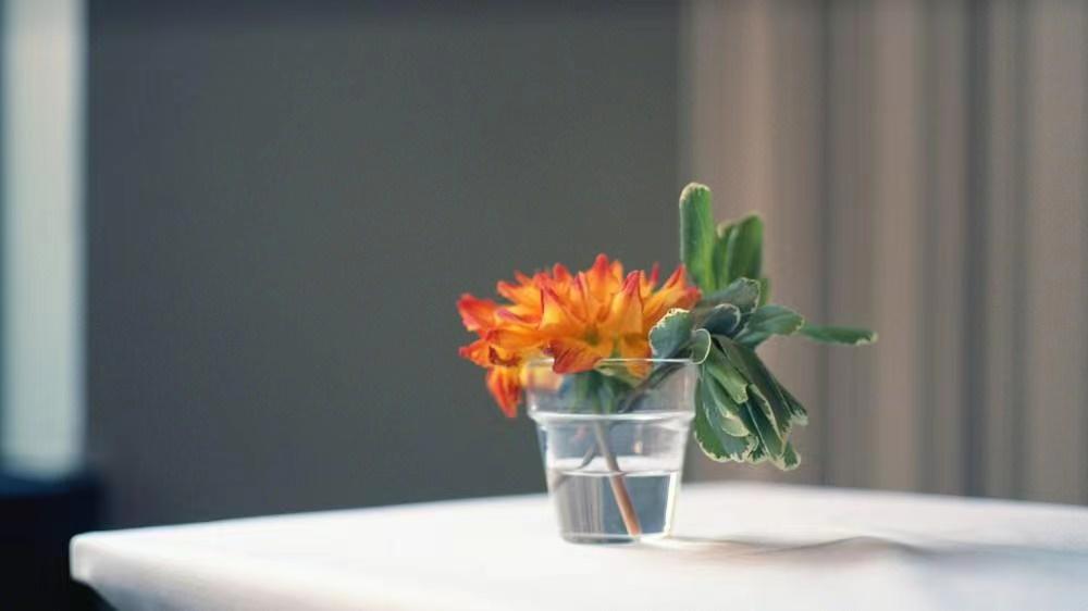 二婚相親技巧！幫助您找到心愛的的他