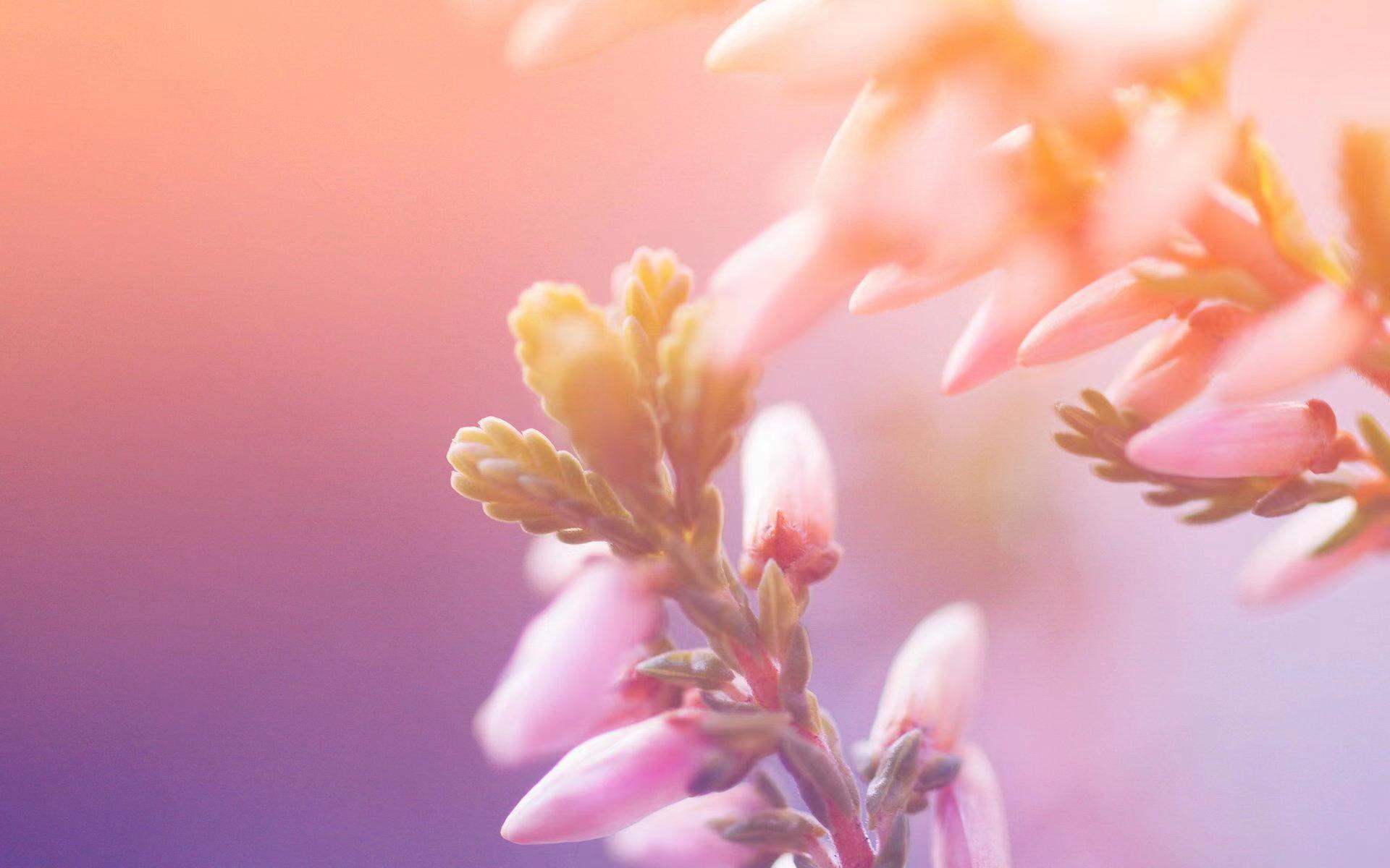 怎么跟女生聊出感情？表白提高成功率的干貨