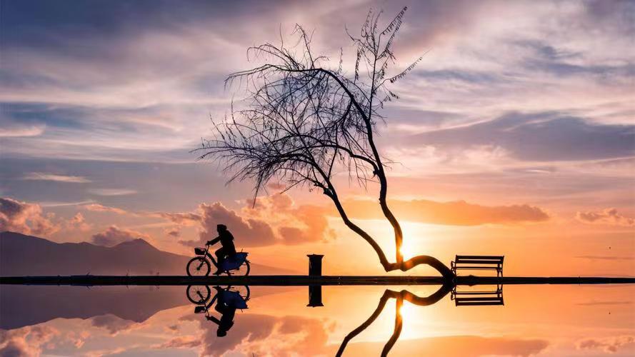 教你怎么避免家庭暴力??！