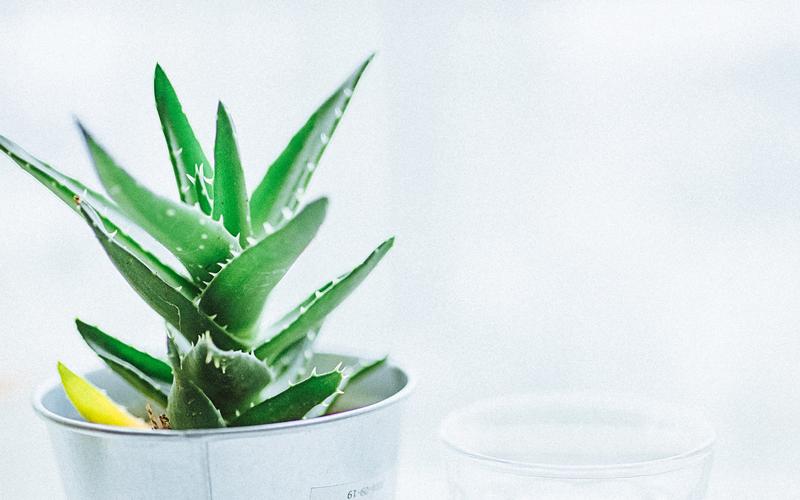 如何快速的提高適應(yīng)能力？