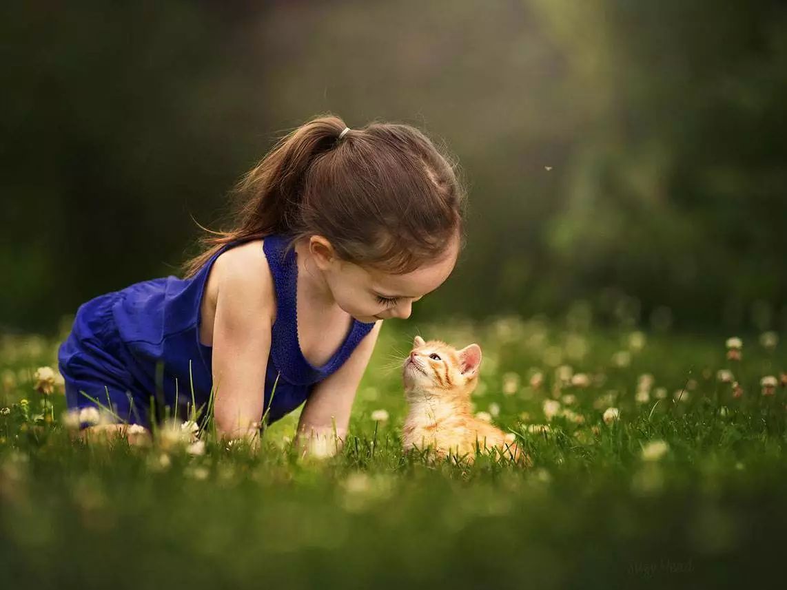 孩子說恨老師、恨學(xué)校怎么辦？