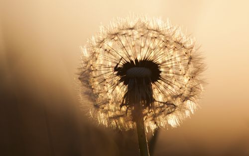 焦慮是什么原因？