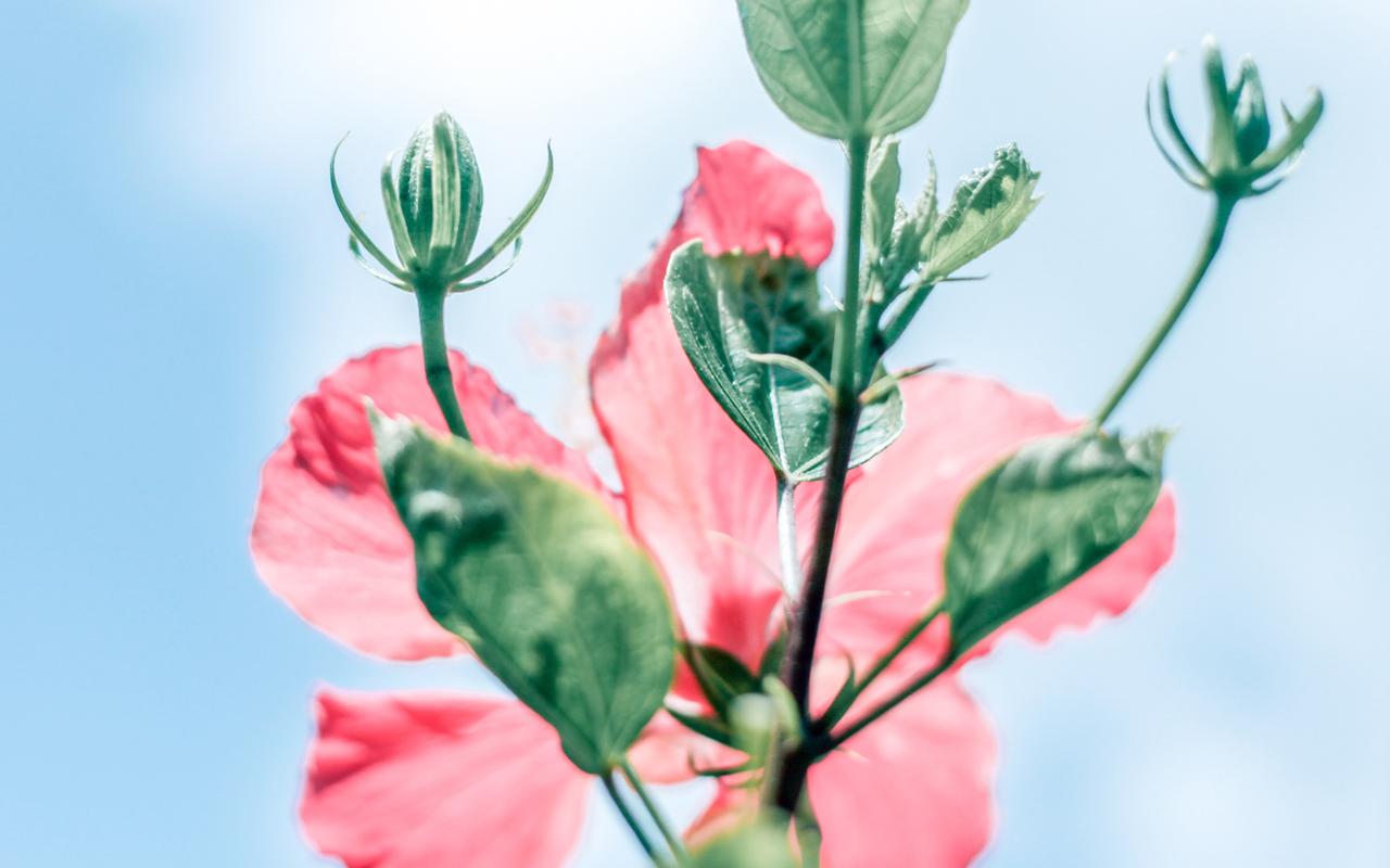 缺乏同理心是什么原因？