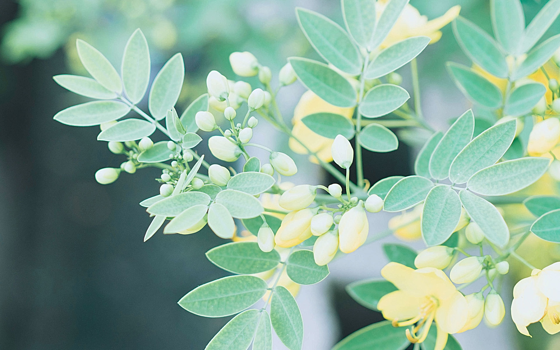 青春期的孩子有什么特點(diǎn)？