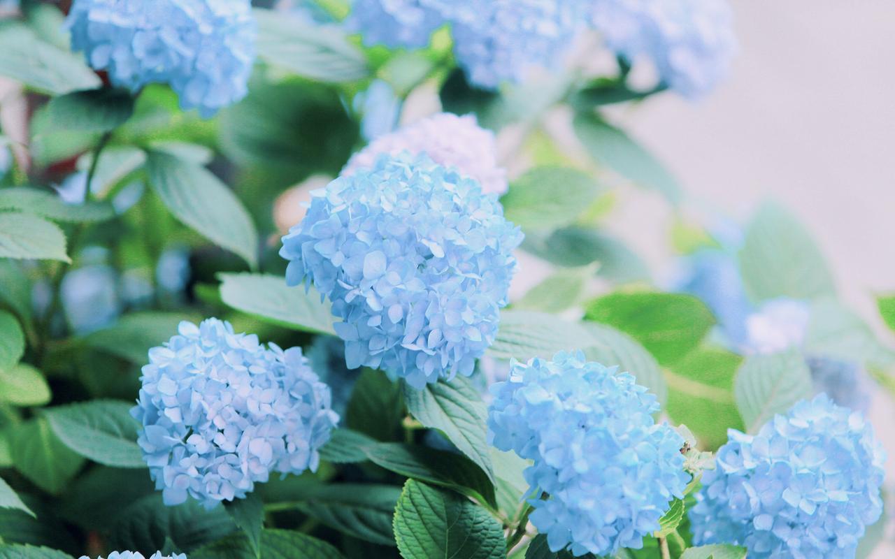 心理咨詢的技巧有哪些？