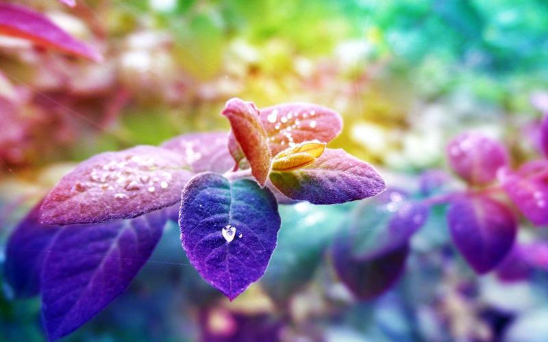 怎樣培判斷男朋友的愛(ài)心？