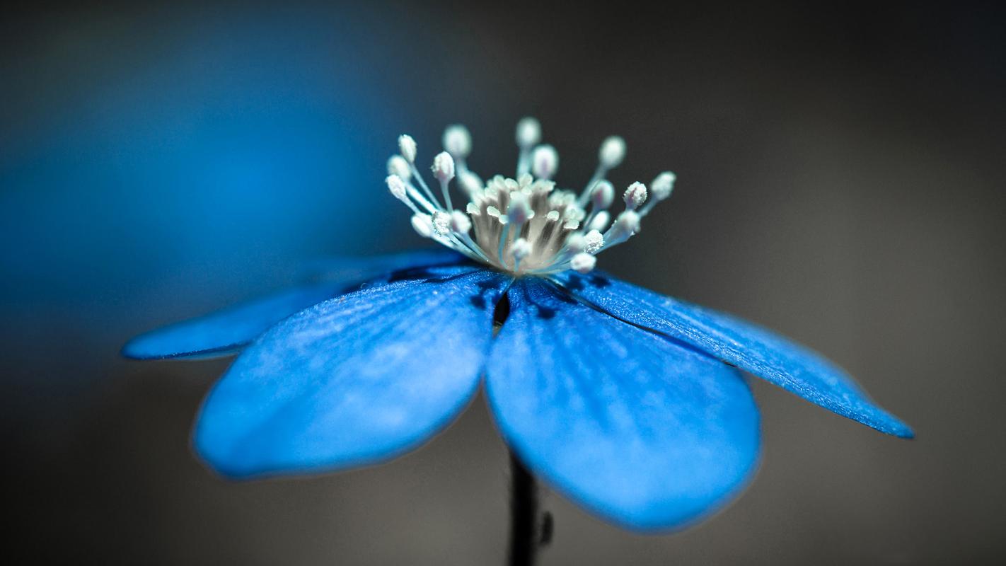 戀愛(ài)中的性問(wèn)題有哪些？