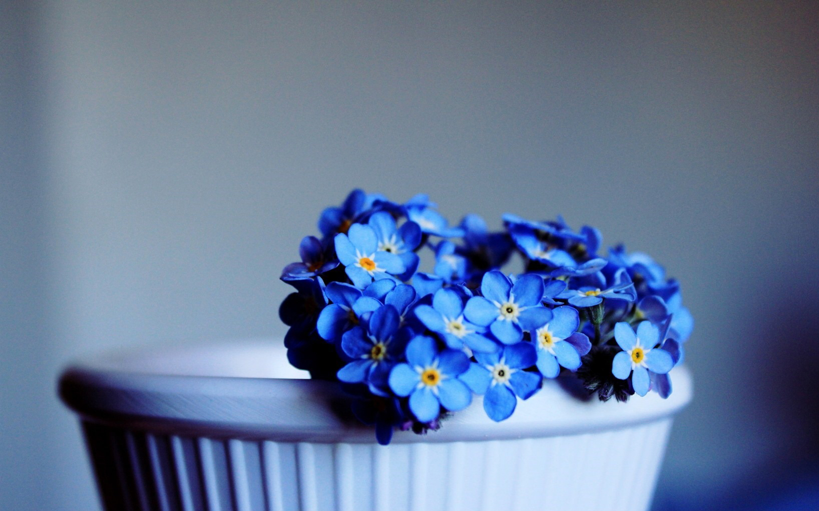 在婚姻里，你有安全感嗎？