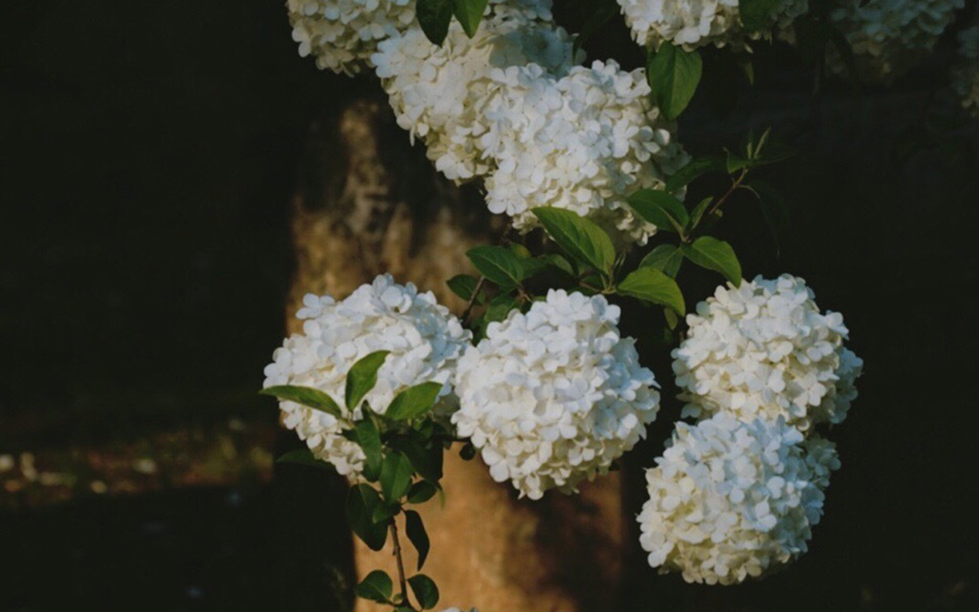 婚姻中如何建立信任？