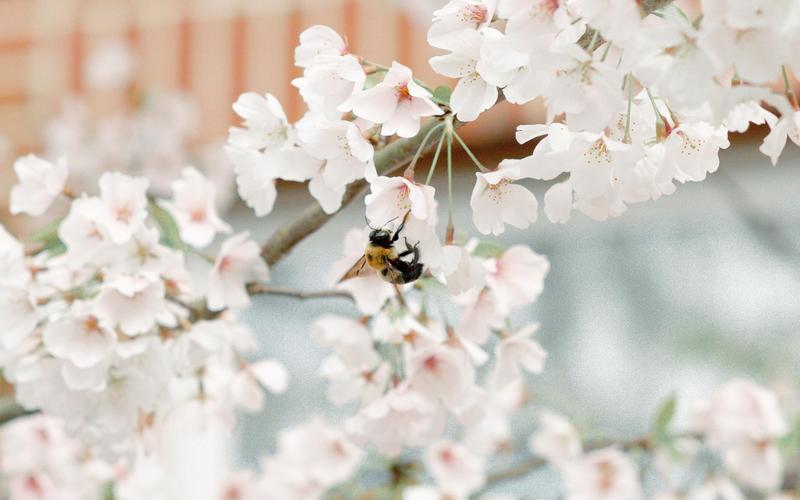 如何展示自己的品味和興趣？
