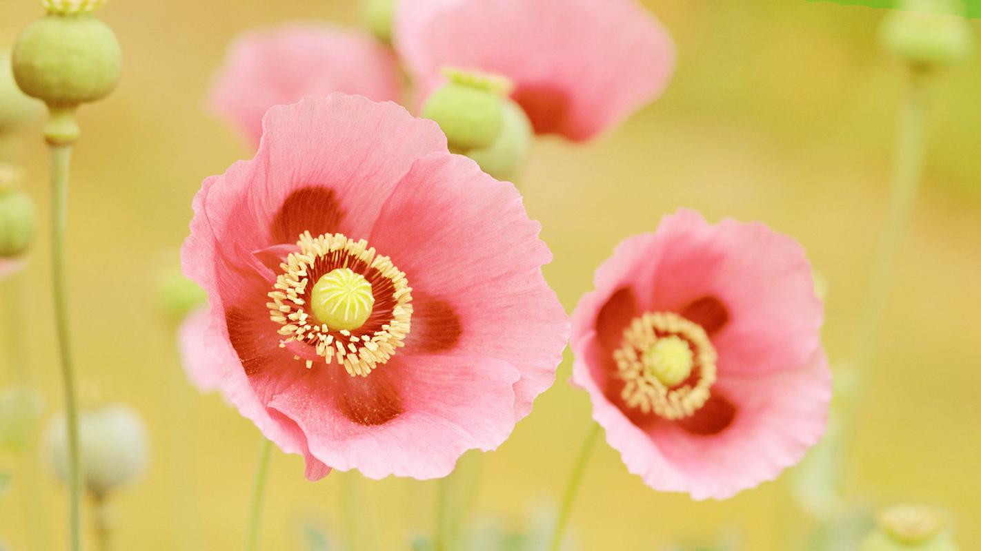 如何擺脫托付心態(tài)？