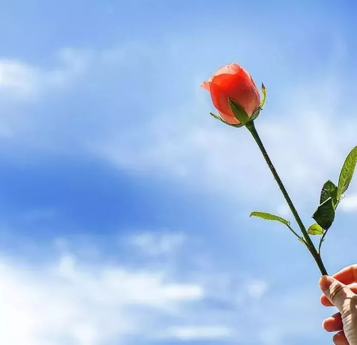 虛偽的人有哪些表現(xiàn)？