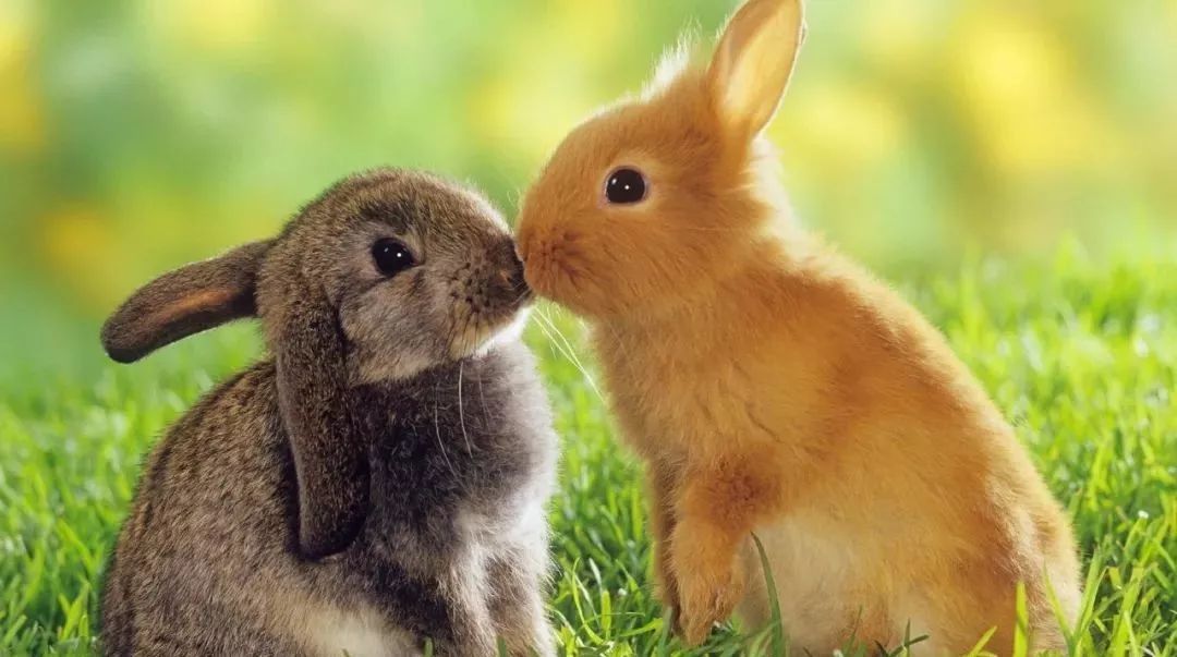 男朋友不考慮我的年齡因素，是什么原因？