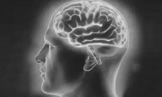 “出軌腦瘋期”的特點(diǎn)？