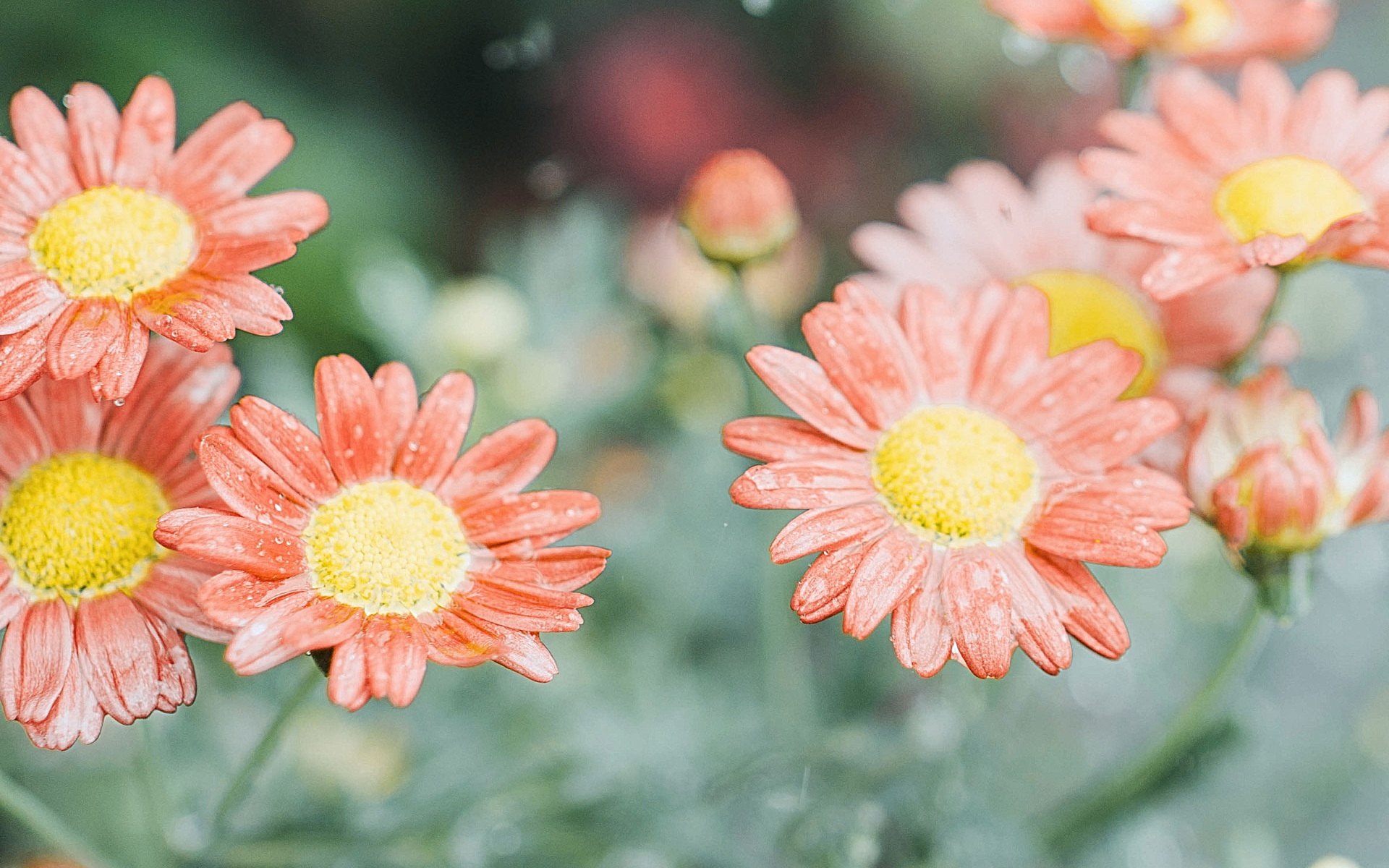 如何平衡戀愛和個(gè)人空間？