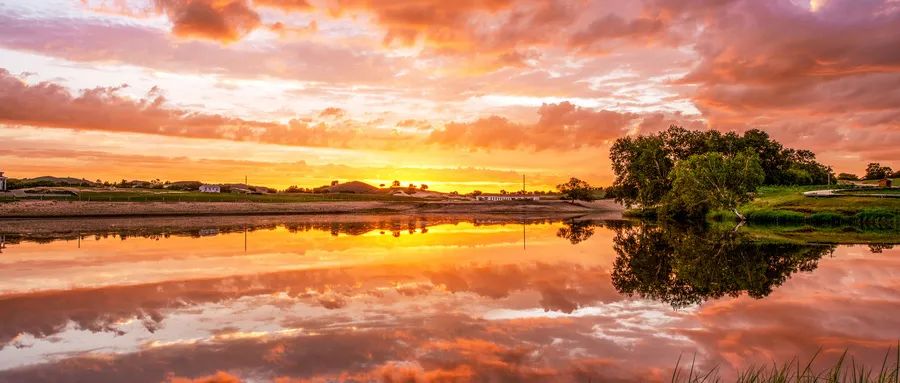 我在愛情中有哪些需求？