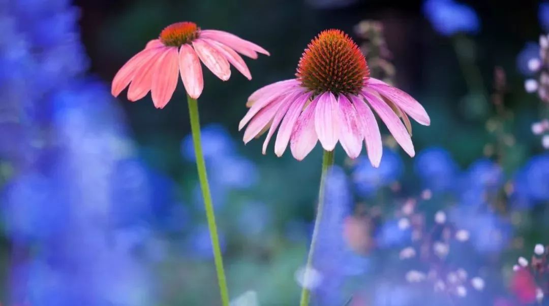 強者的思維方式