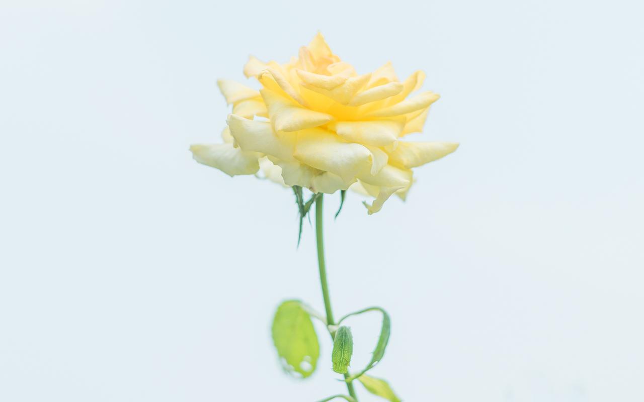 如何從根源上提升你的財富層次？