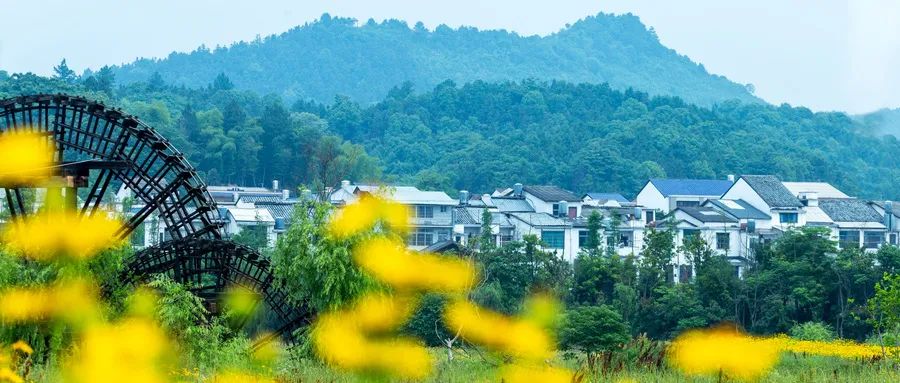 理智與潛意識：誰在替你做決定？