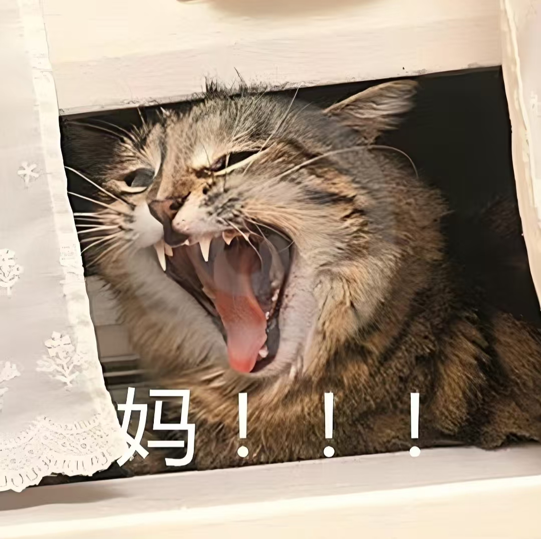 個人發(fā)展主題